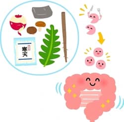 foods-containing-watersoluble-dietary-fiber-250nw-2322056821 - SomethingBeautiful!! Cartoon illustrating gut health: a smiling intestine with arms and legs, surrounded by gut-friendly foods (greens, herbs, mushrooms, nuts) and a bottle of probiotics/medicine, suggesting digestion support.