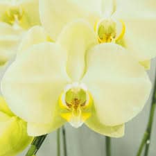 images 40 - SomethingBeautiful!!