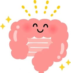 character-healthy-smiling-intestine-250nw-2630453925 - SomethingBeautiful!! Happy cartoon pink brain with a smiling face and sparkles, symbolizing healthy brain function