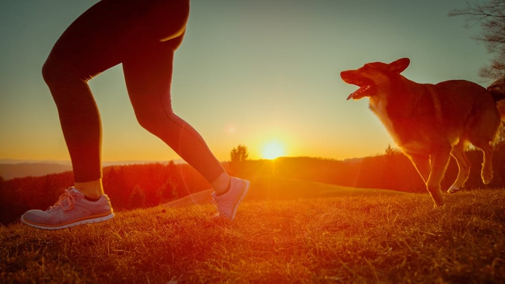 LowAngleViewSilhouetteLensFlareAthleticWomanJogsAcross - SomethingBeautiful!!