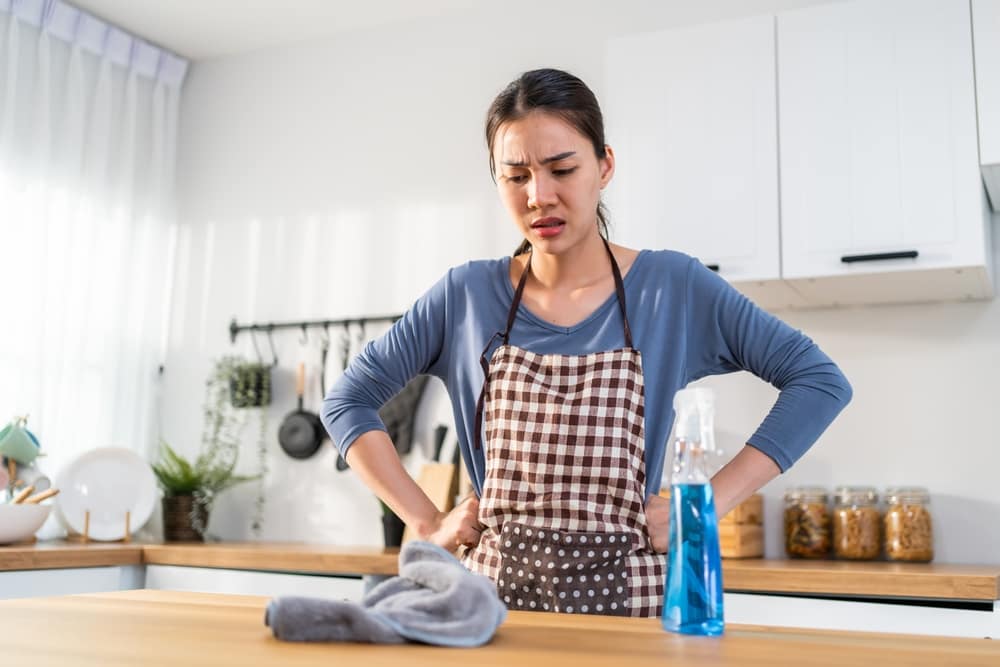 AsianBeautifulCleaningServiceWomanWorkerCleaningKitchenAtHome - SomethingBeautiful!! Woman in a blue shirt and brown checkered apron stands at a kitchen counter with hands on hips, a cleaning cloth nearby and a blue spray bottle to the side.