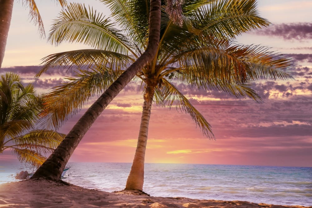 SandyBeachWithTropicalPalmsUnderPicturesqueSkyAtSunset - SomethingBeautiful!!