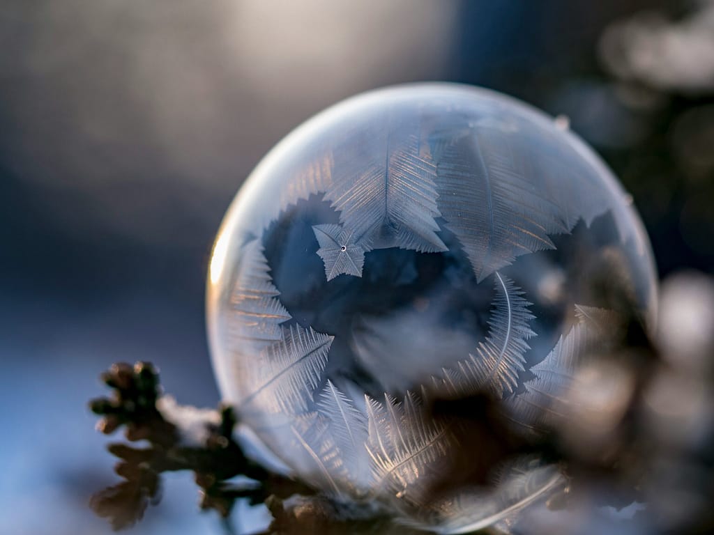 380703FC-A6B3-4DD7-85DF-BB1D271B0CFC - SomethingBeautiful!!