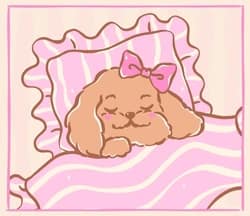 adorable-cavoodle-puppy-sleeping-on-250nw-2733996539 - SomethingBeautiful!!