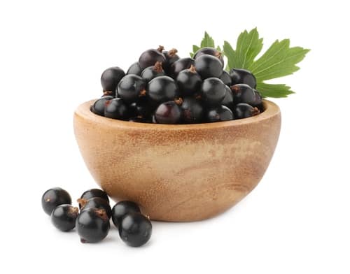 RipeBlackCurrantsInBowlAndGreenLeavesIsolatedOn - SomethingBeautiful!! Wooden bowl filled with blackcurrants and a green leaf on a white background.
