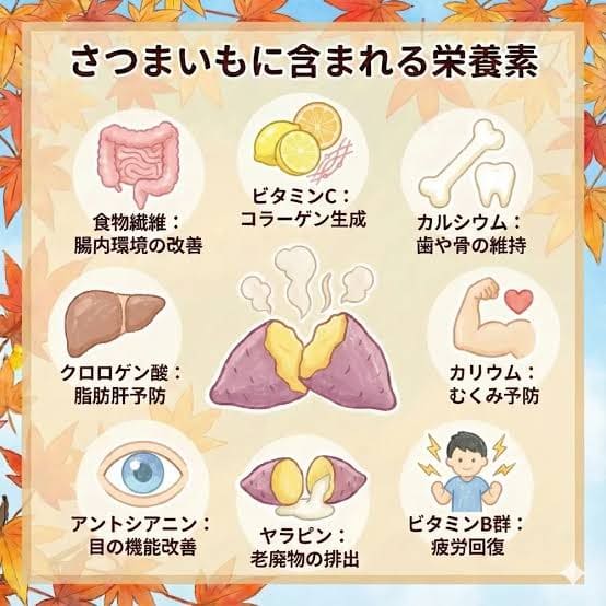 images - 2026-09-17T055409394 - SomethingBeautiful!! さつまいもに含まれる栄養素の解説イラスト。食物繊維は腸内環境の改善、ビタミンCはコラーゲン生成、カルシウムは歯と骨の維持、クロロゲン酸は脂肪肝予防、カリウムはむくみ予防、アントシアニンは目の機能改善、ヤラピンは老廃物の排出、ビタミンB群は疲労回復を示す説明付きアイコンを配置。